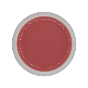 NAM24 - Fiberglas Gel Make Up Camouflage | -2
